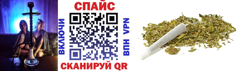 дарнет шоп  Светлогорск  omg как войти  БУТИРАТ 99% 