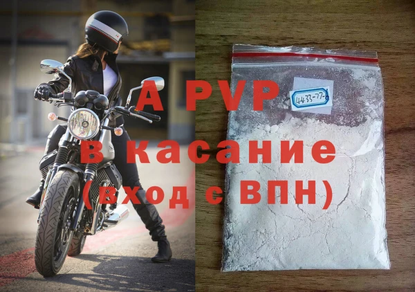 гашик Пересвет