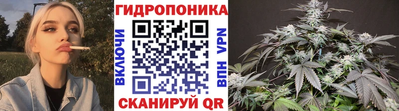 Конопля тримм  Светлогорск 